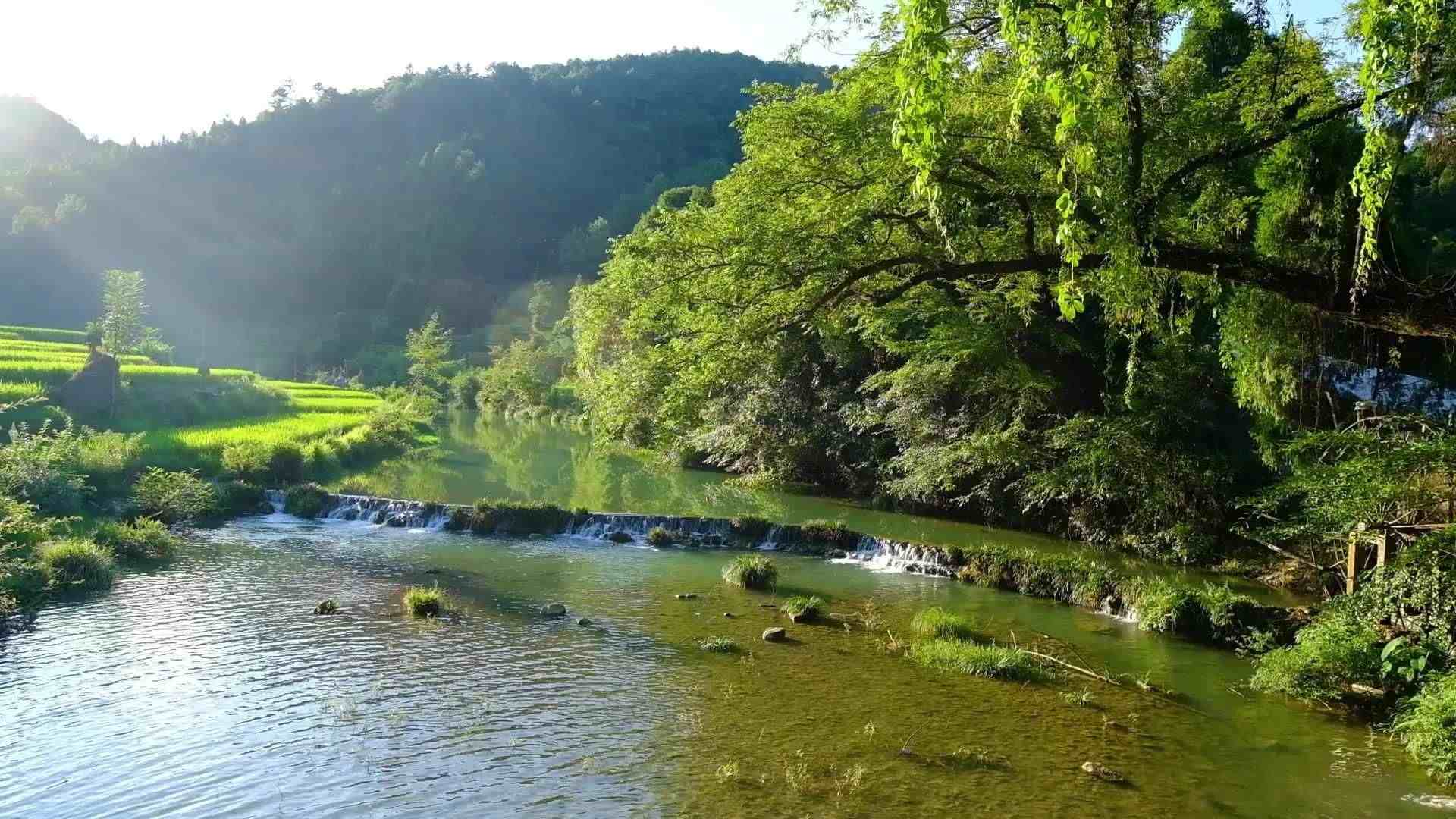 余秋雨散文|余秋雨散文：乡下