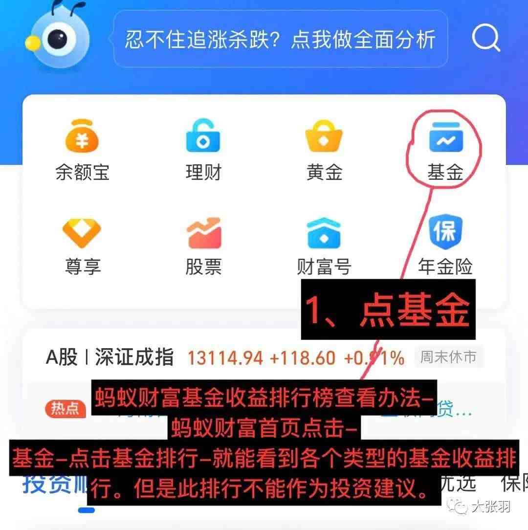 新手怎样学习炒基金最快上手|基金基本入门