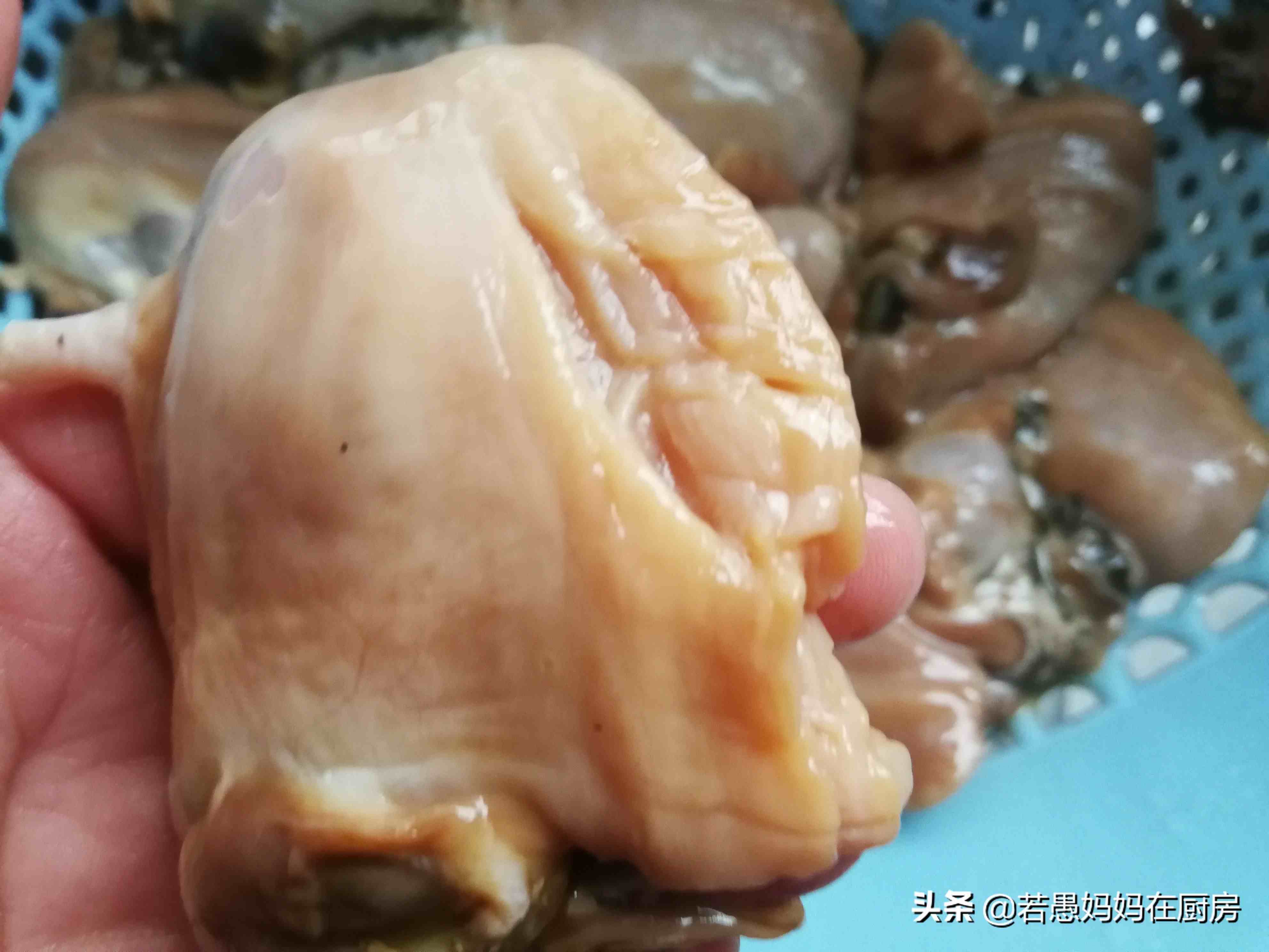 河蚌最好吃的做法，炖之前多做这一步，肉不老也不腥，非常下饭