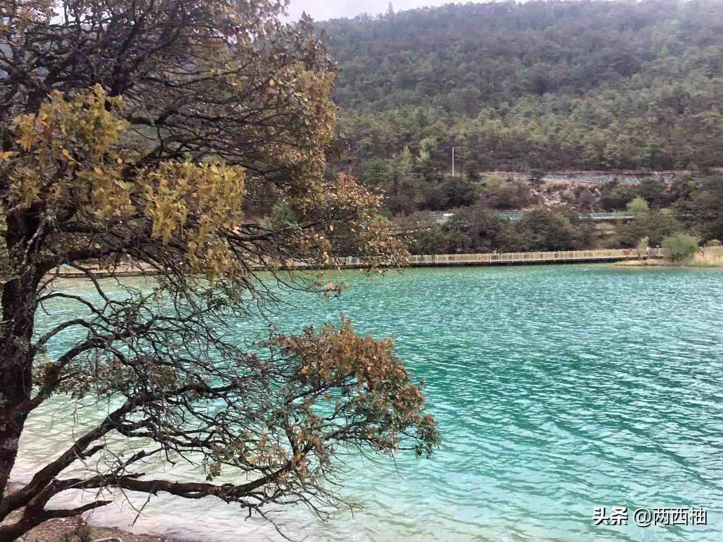 丽江旅行攻略|丽江旅游保姆级攻略