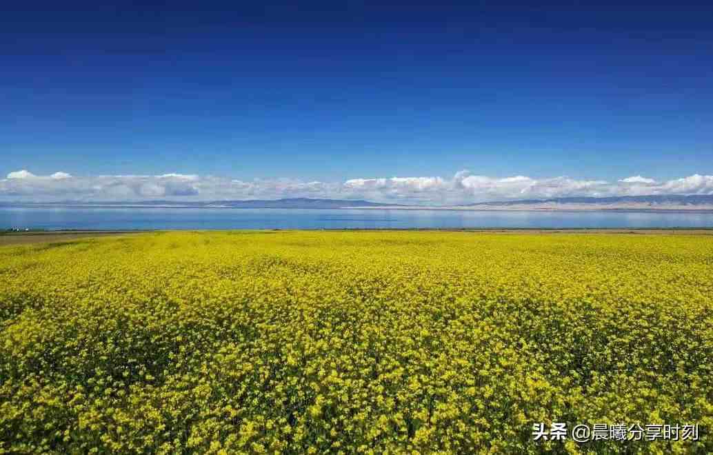 中国最大的湖泊—青海湖