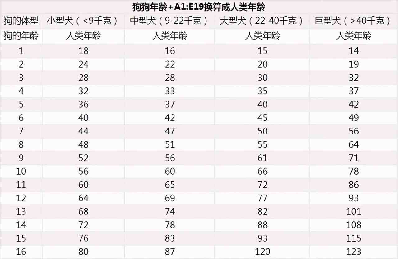 属狗的多大(奉上狗狗的年龄对照表「运营教程-小高教学网