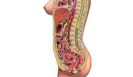 孕期腰部酸痛常见原因及应对策略