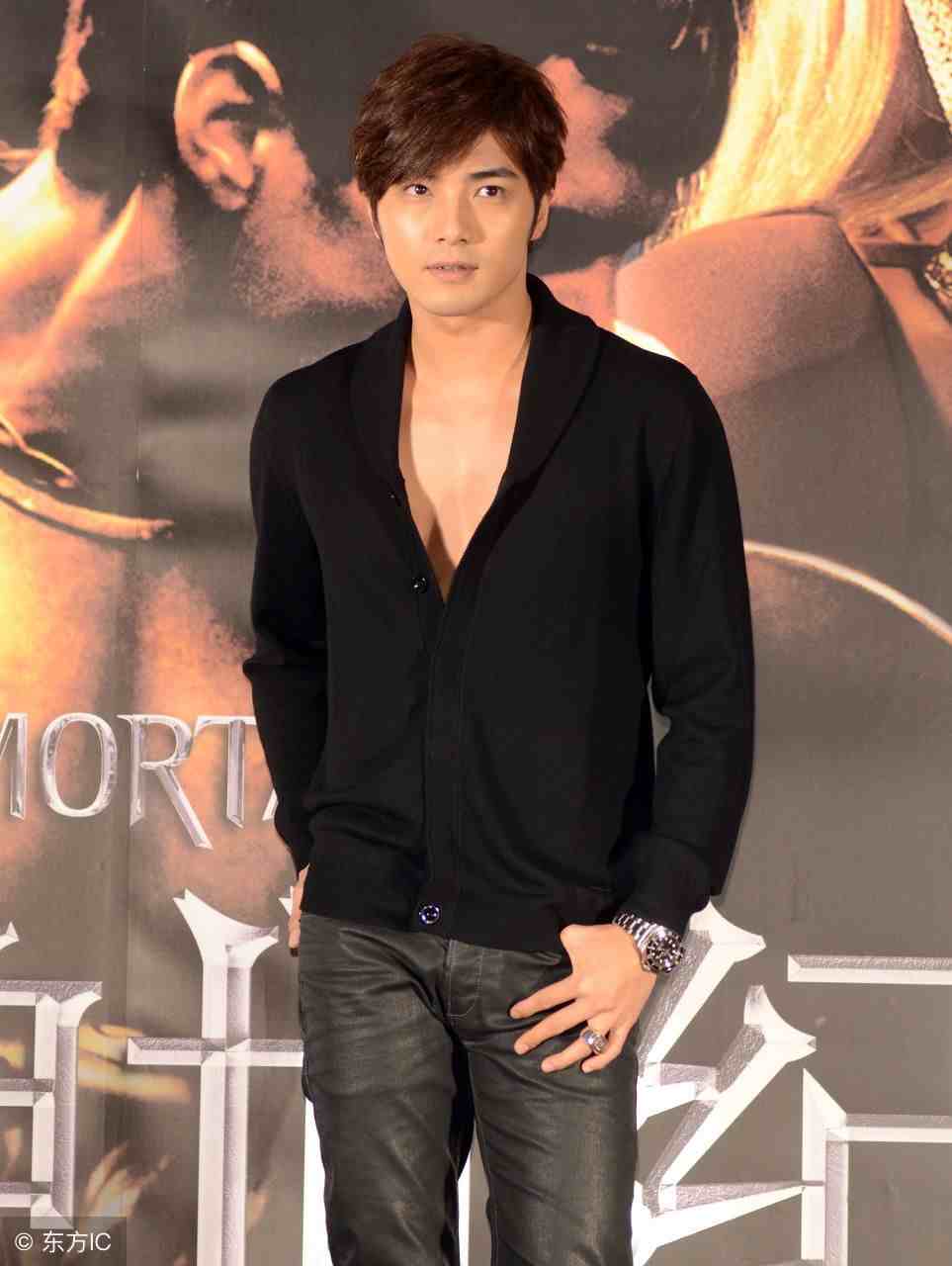 中国台湾男演员、模特：贺军翔