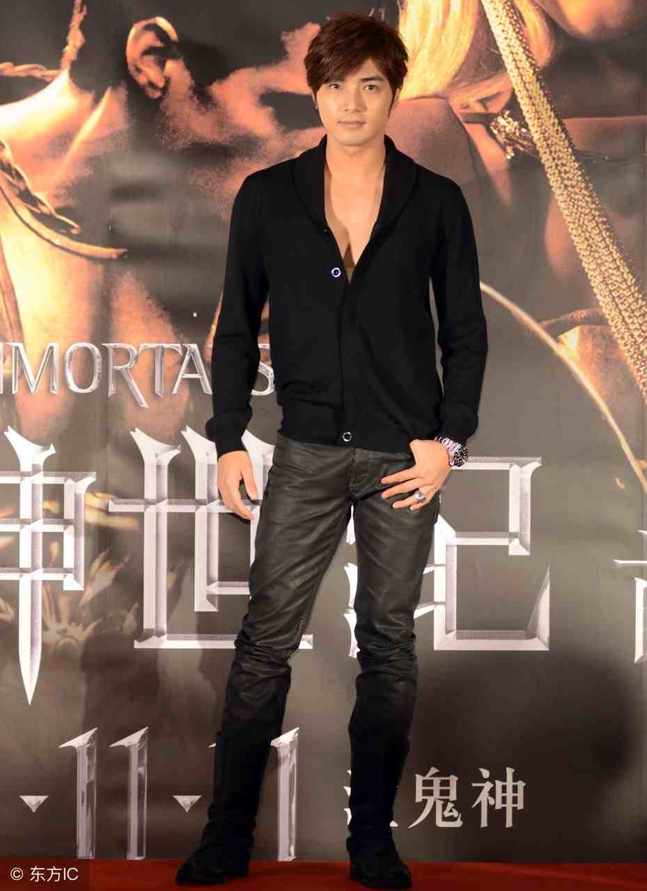中国台湾男演员、模特：贺军翔