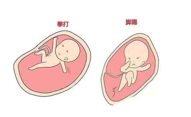 胎动与男孩女孩有关？