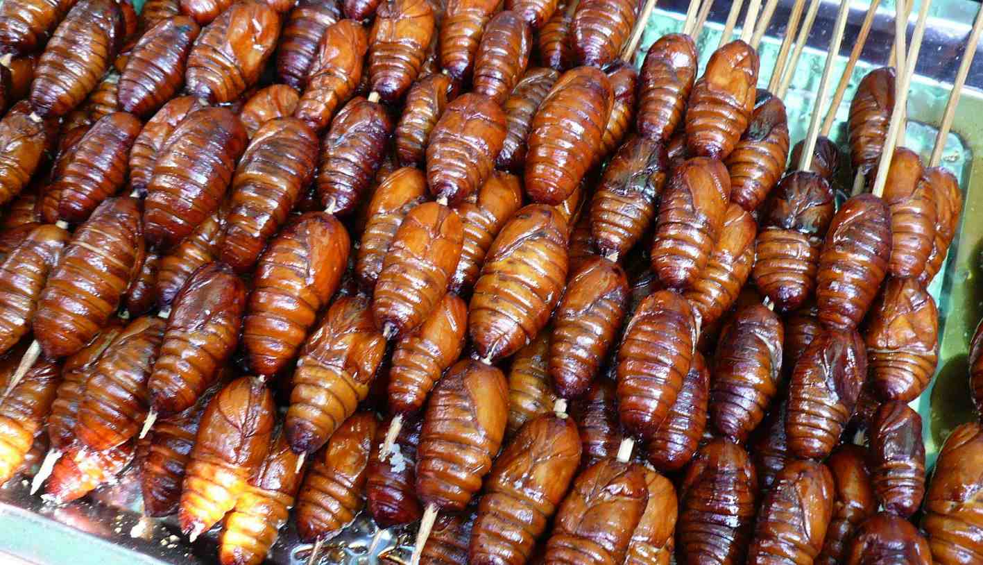 蚕蛹5种最好吃的做法，简单美味又馋人，看看你喜欢吃哪种？