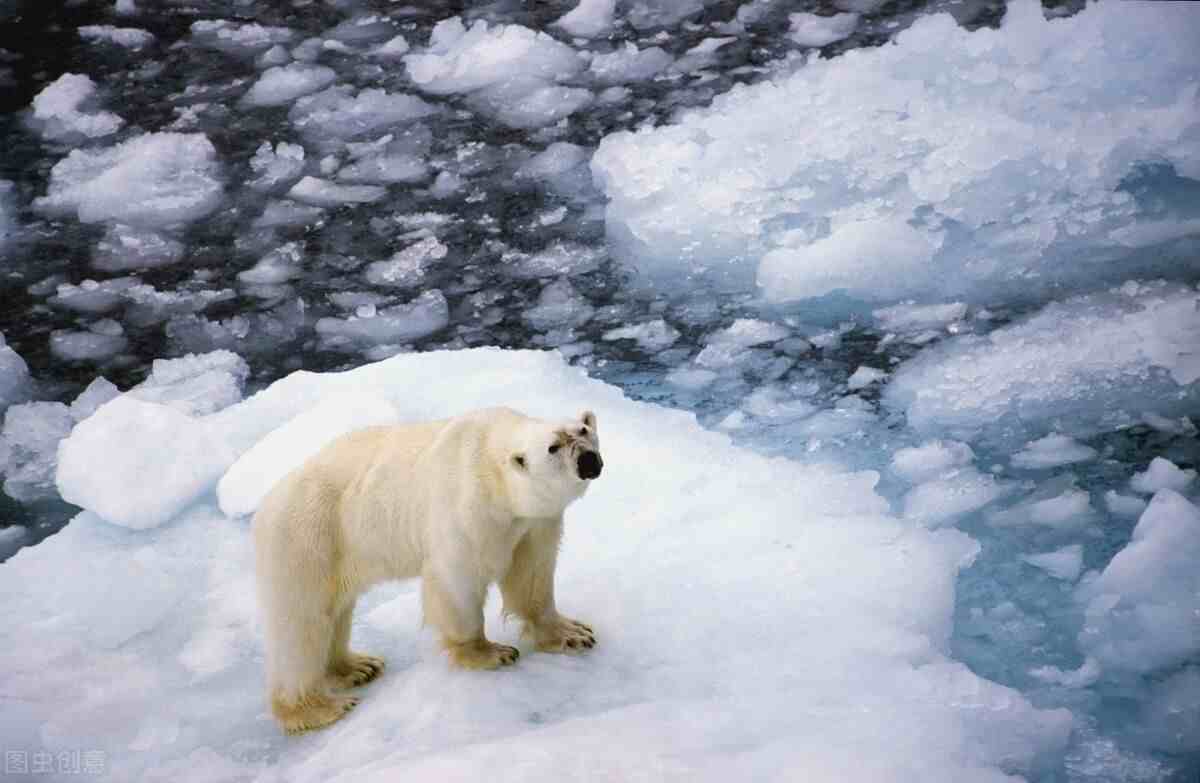 地球温度逐渐升高，北极冰川正在融化，东北可能越来越适合居住？