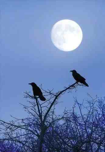 十首最经典的中秋诗词丨那年花开月正圆，且喜人间好时节