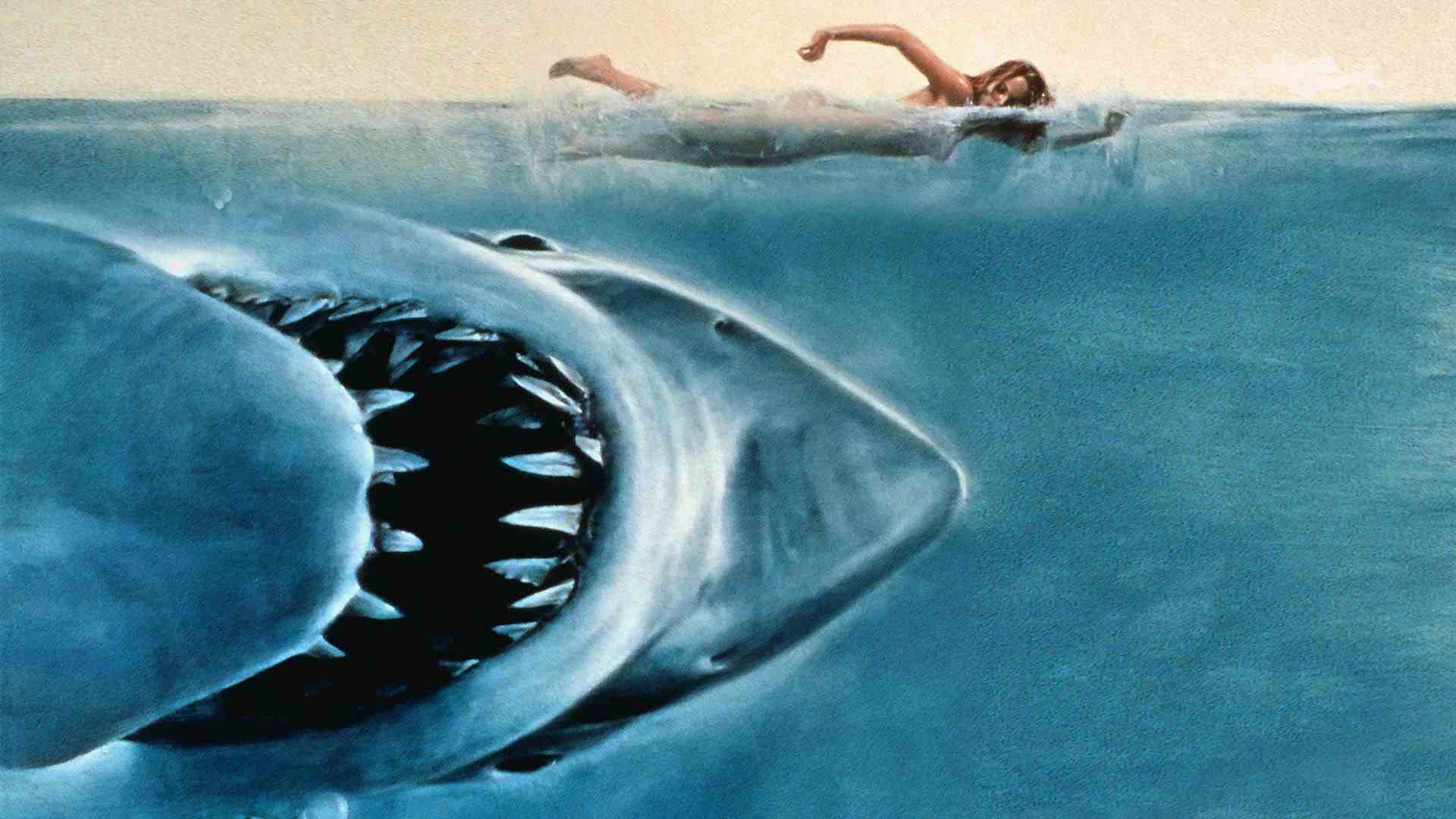 魔魂大白鲨 深海图片