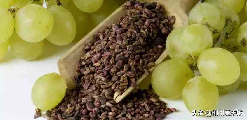 葡萄籽的功效是什么？ 可以抗衰老吗？