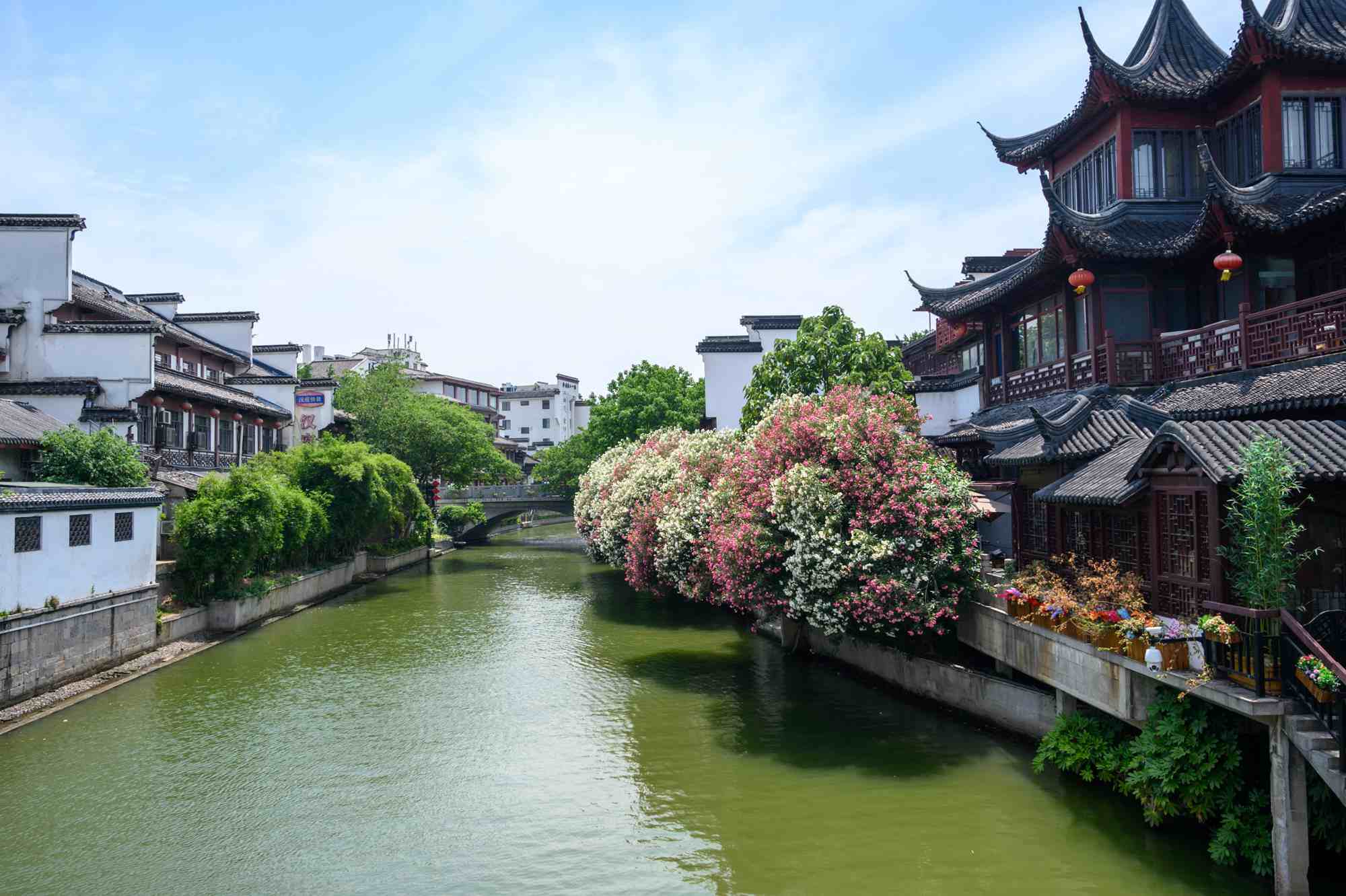 南京旅游必打卡的景点，都是国家5A景区，景美且文化底蕴深厚
