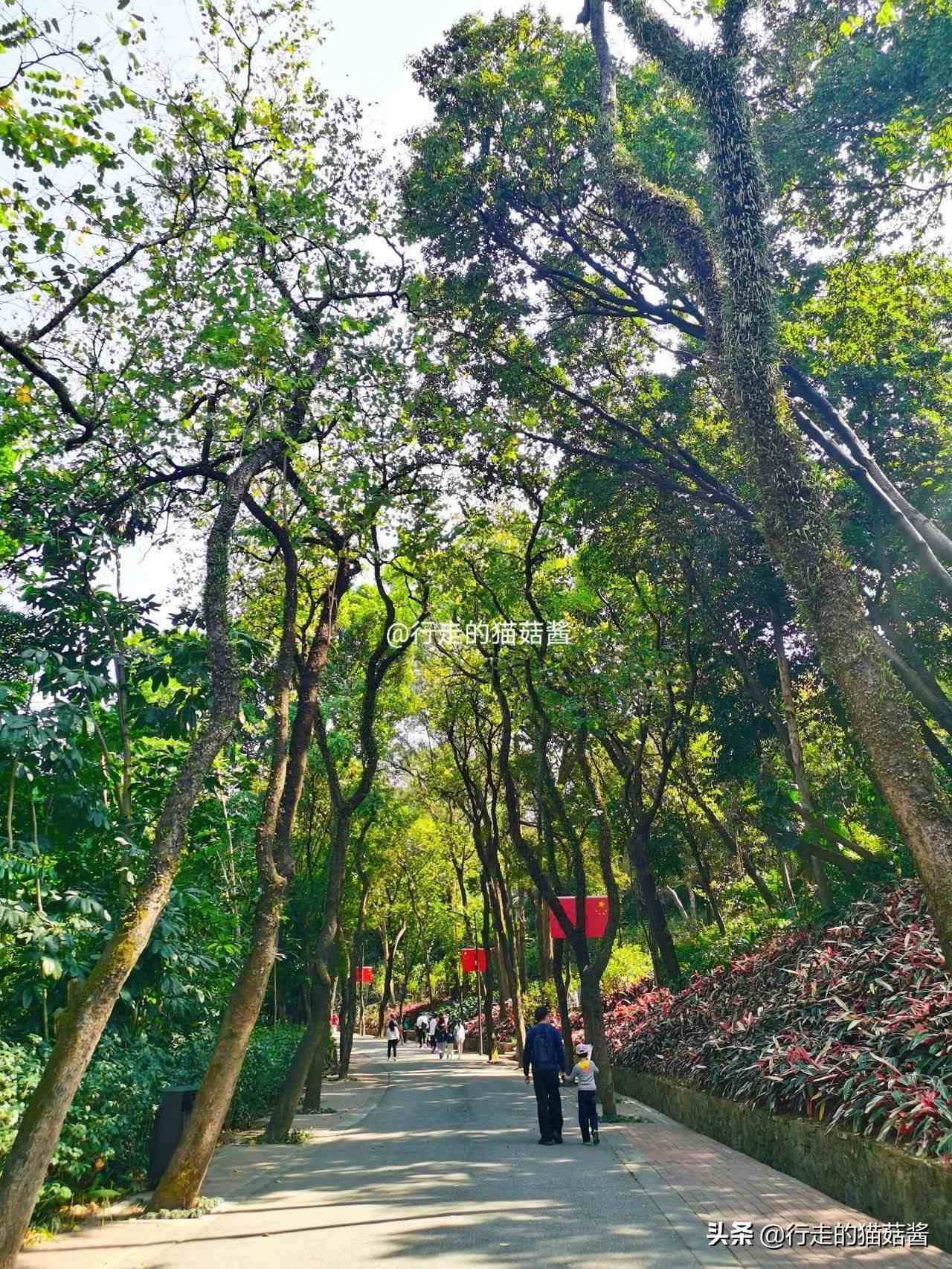 广州越秀公园游览路线推荐，深度游玩拍照攻略