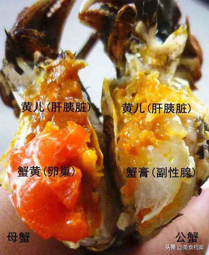 公蟹吃蟹膏和蟹肉;母蟹主要是吃蟹黄:不知道你喜欢吃母蟹还是公蟹呢?
