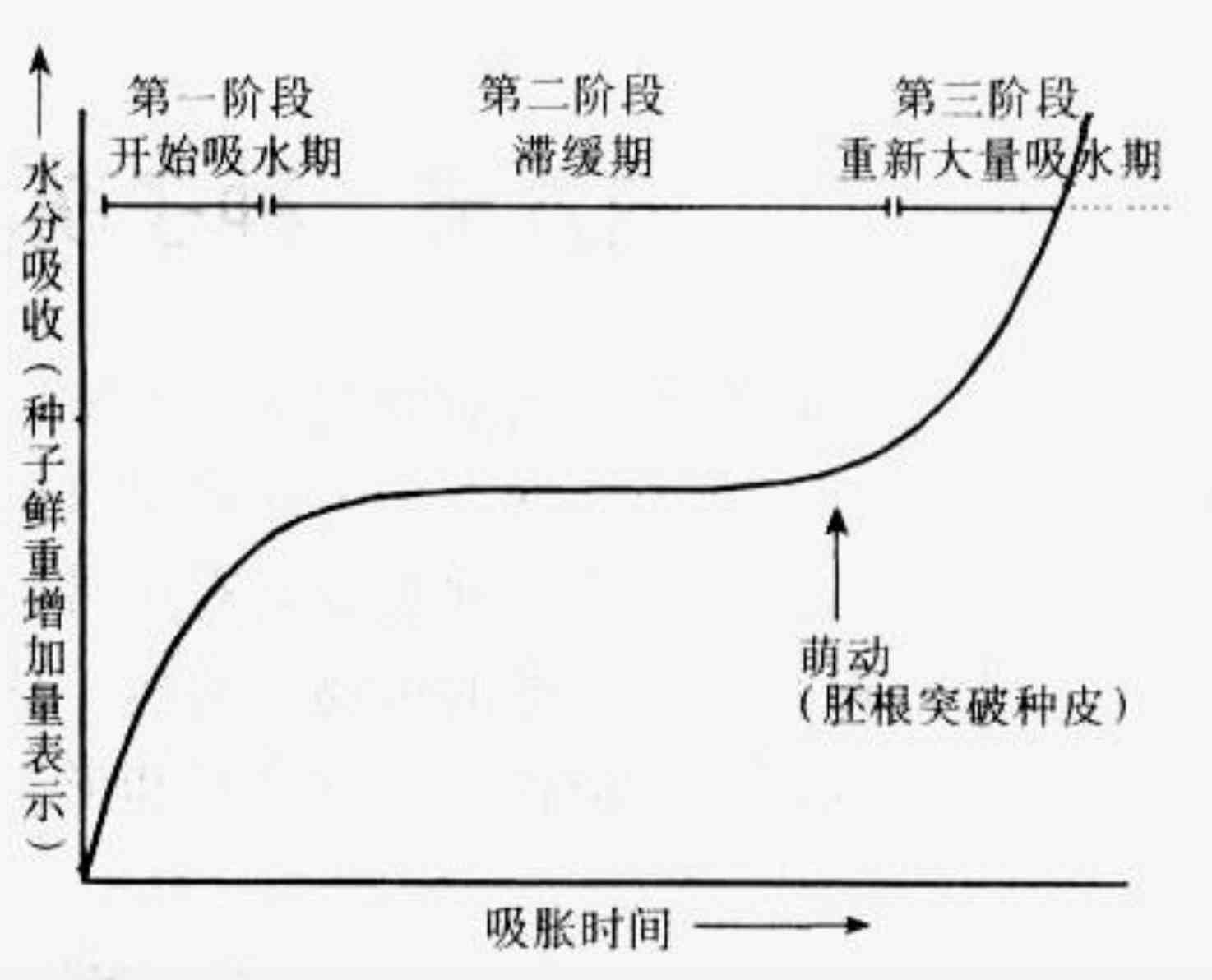 种子的萌发你需要知道