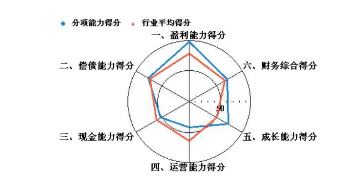 年度财务分析报告：企业年度财务分析报告