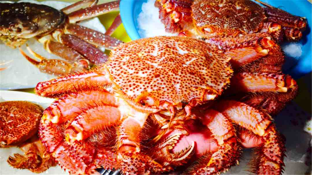 世界最好吃的5种螃蟹，中国大闸蟹上榜，第四种体重可达36公斤