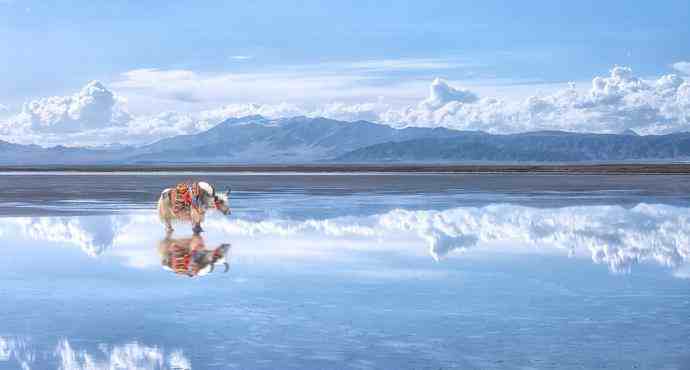 世界7大绝美盐湖，不加滤镜却美如仙境！