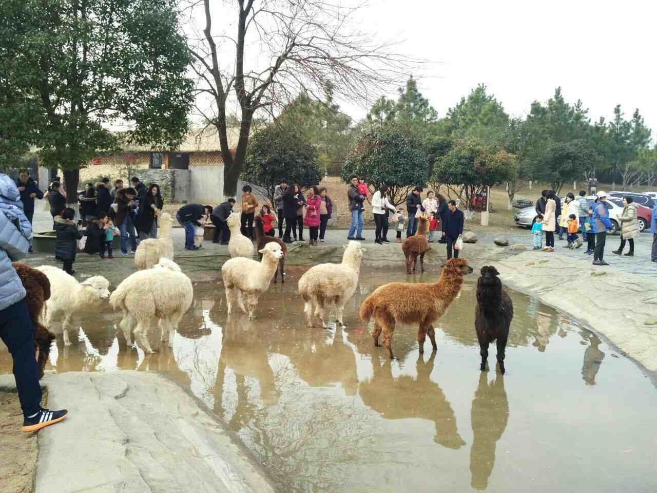 常州旅游好吗，怎么常州旅游