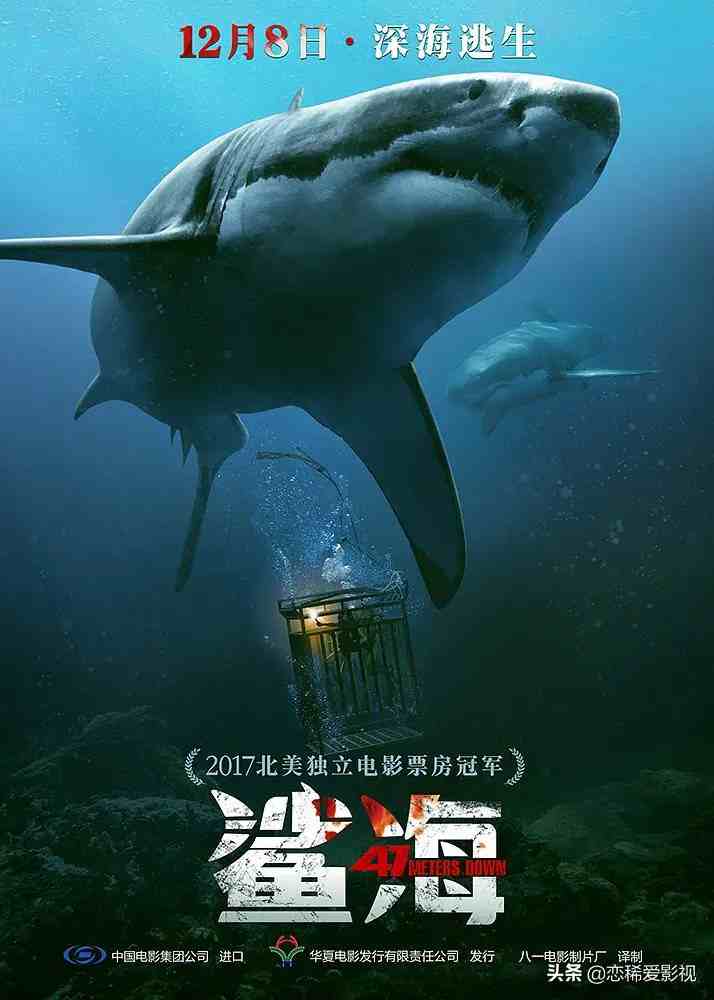 5部与鲨鱼有关的电影，喜欢深海逃生类电影的你不容错过