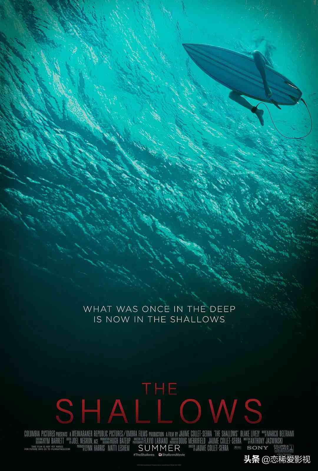 5部与鲨鱼有关的电影，喜欢深海逃生类电影的你不容错过