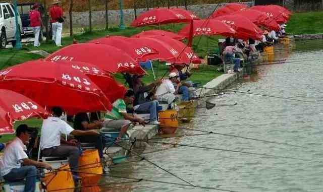如果你喜欢玩，深圳的那些可以钓鱼的地方！