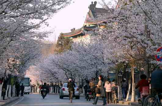 江苏省南京十大著名寺庙排名榜 也是香火最旺的十大寺庙
