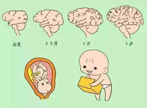 孩子大脑发育的秘密，为什么说0～3岁是关键期？