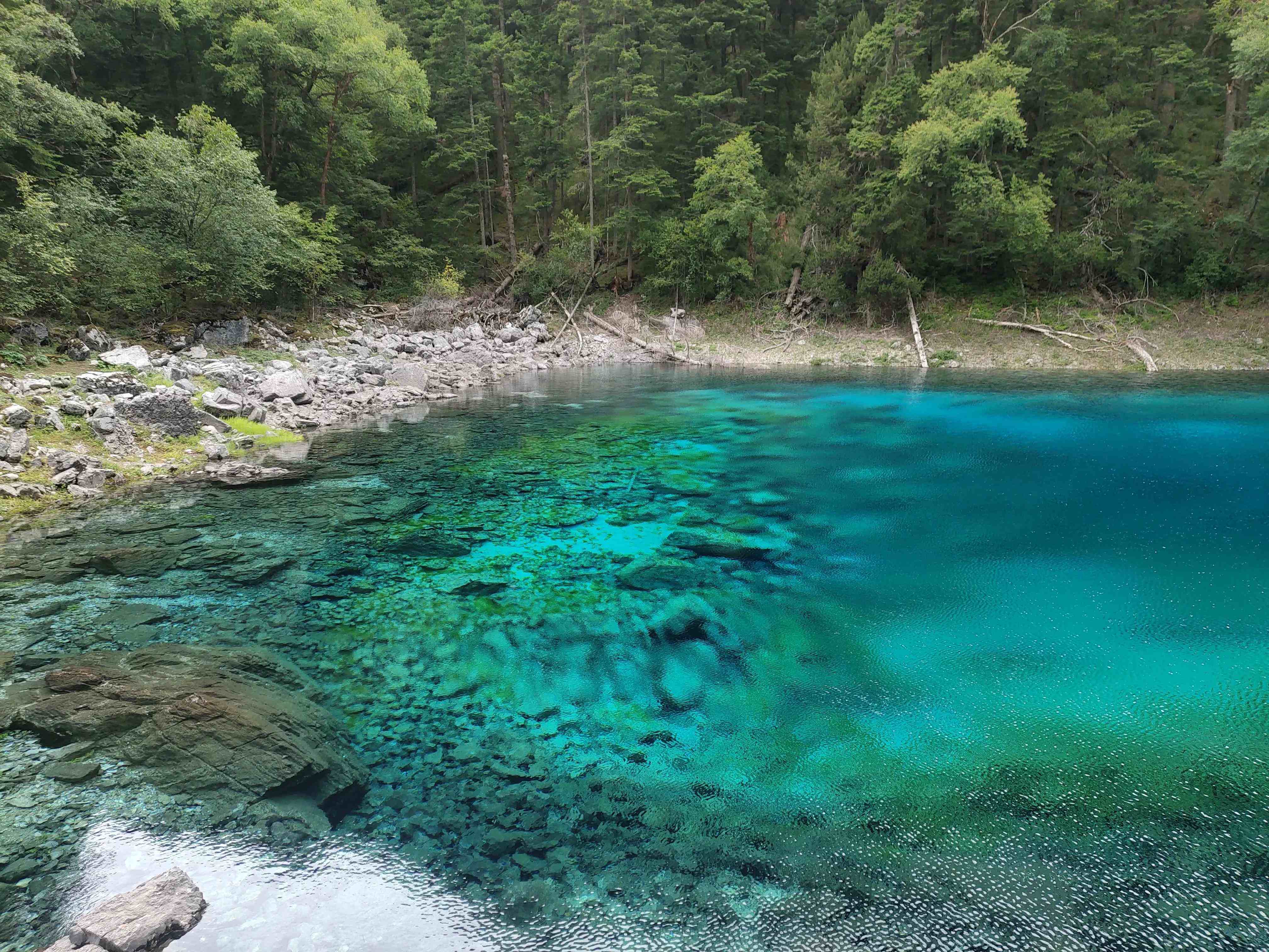 九寨沟旅游攻略(九寨沟旅游攻略必去景点)