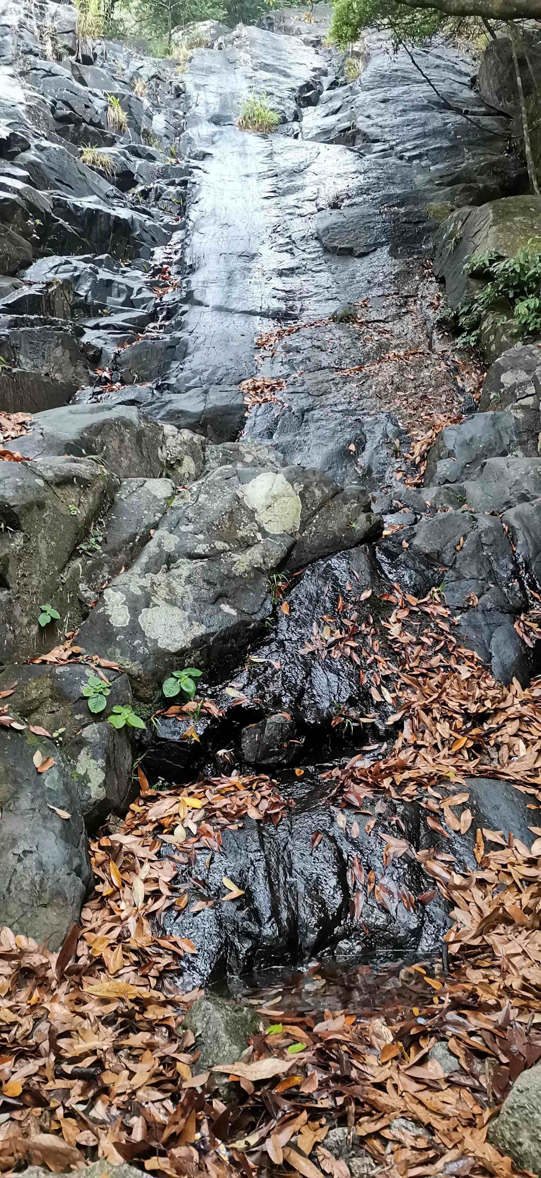 罗浮山怎么去你需要知道