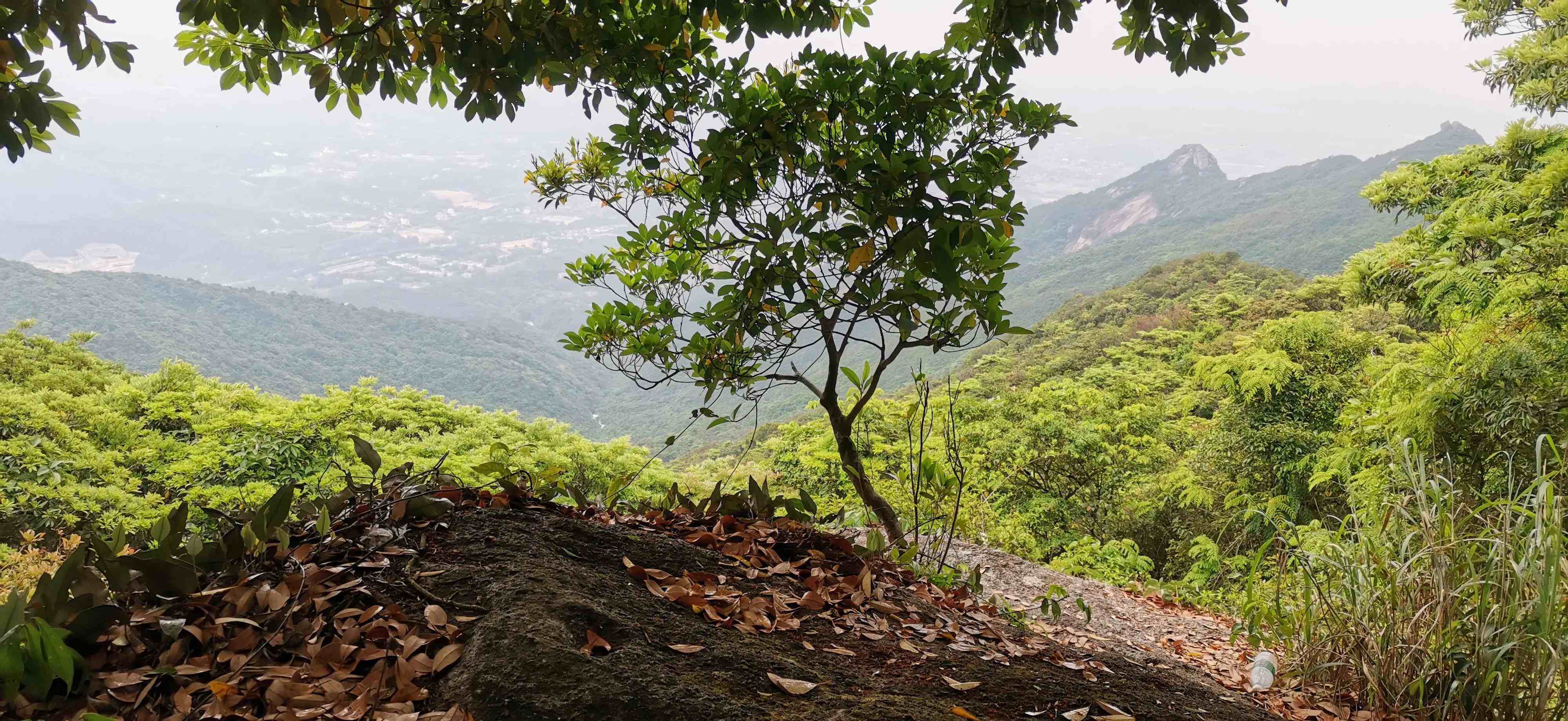 罗浮山怎么去你需要知道