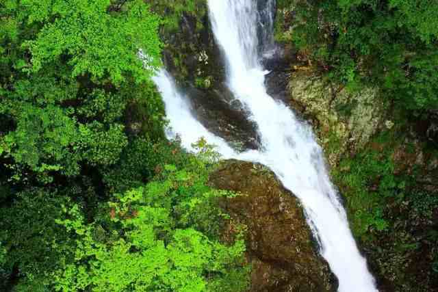 地點:福州閩侯南嶼境內門票價格:35元8九龍山生態旅遊景區九龍山給你