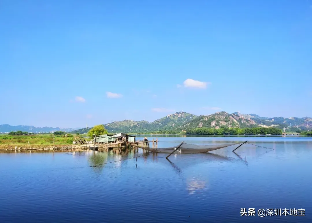 热热热！深圳周边7个有山有水的美景地！夏天去刚好