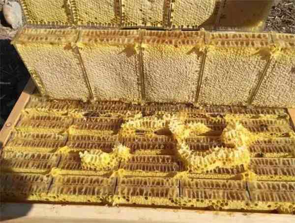蜂巢蜜的食用方法，蜂巢蜜怎么食用?