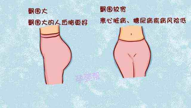 女性的4种臀部透漏健康状况，你知道么？