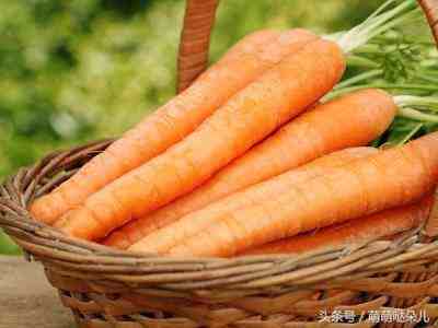胡萝卜的功效与作用及食用方法