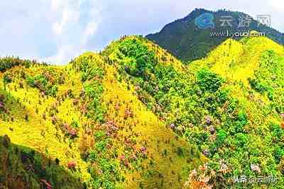 阳春十大景点排行榜(广东阳春景点排名榜)