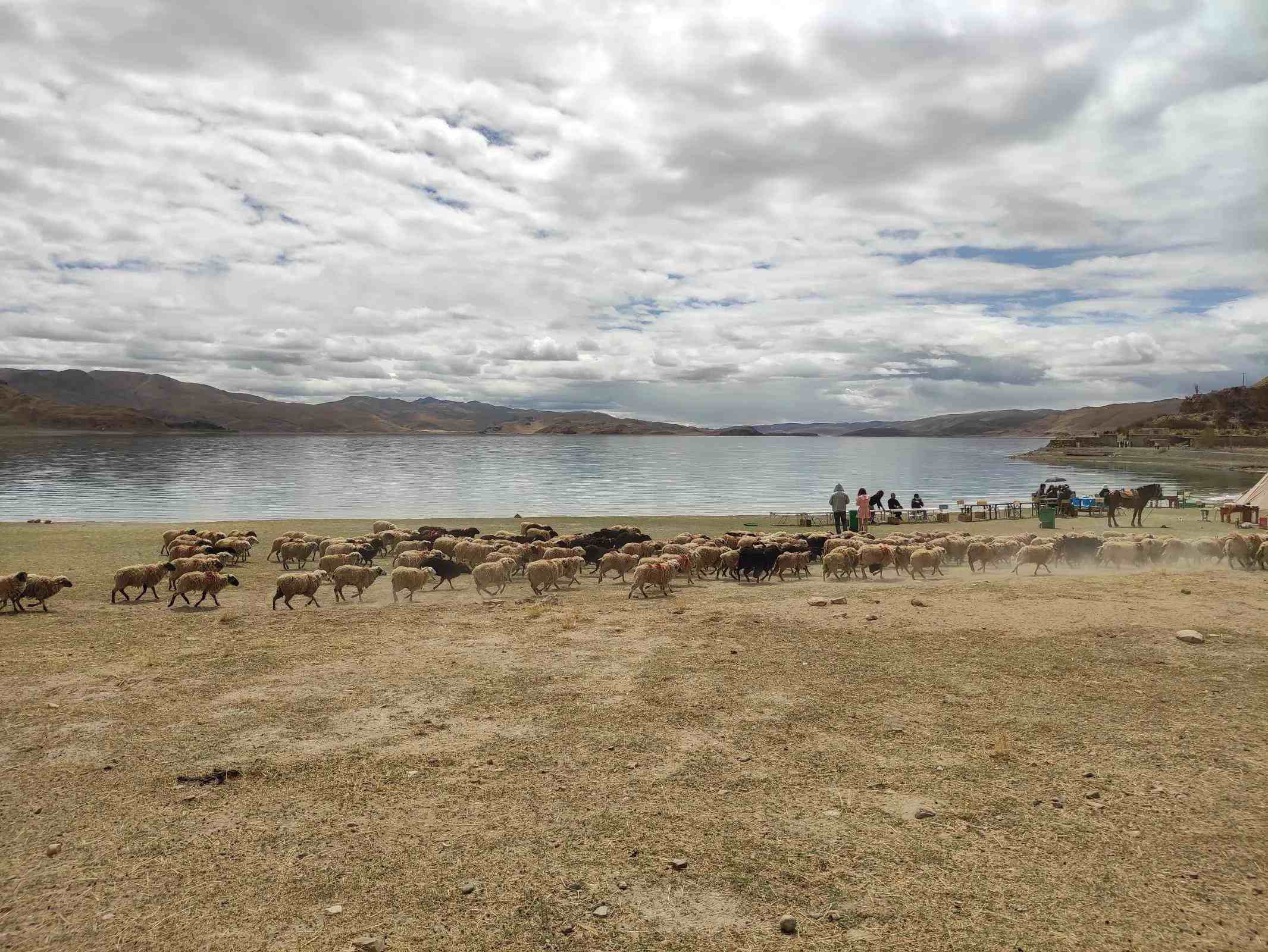 羊卓雍措之旅，走野路没走收门票的常规路线，看到了不一样的羊湖