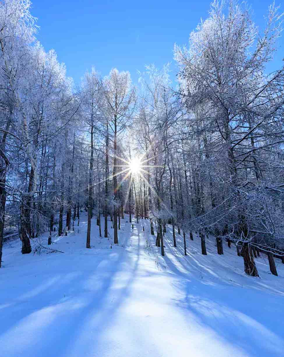 「诗词鉴赏」十首写雪后景色的诗词，看雪后银装素裹的童话世界