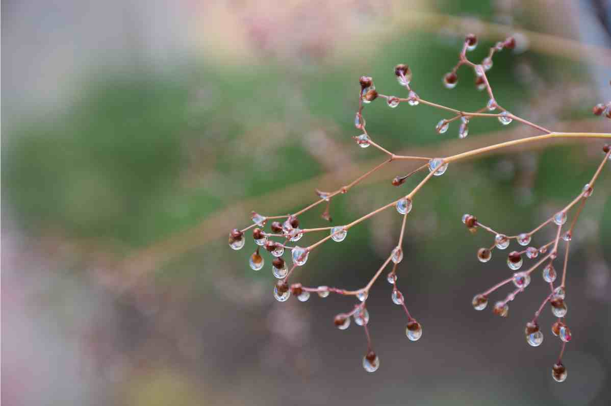 雨水节气|古诗词中的雨水节气