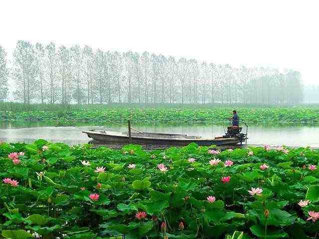 中国最新最大湖泊排名，你家旁边的湖上榜了吗？