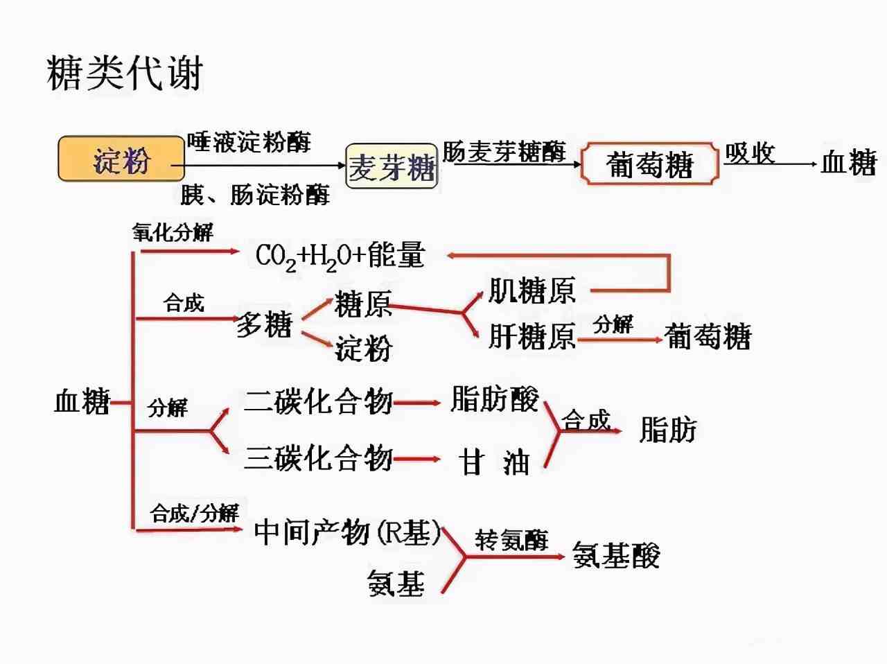 做什么运动减肚子|做什么运动可以减小肚腩