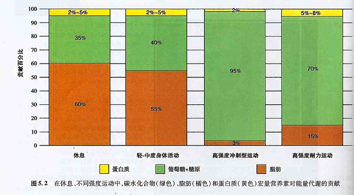 做什么运动减肚子|做什么运动可以减小肚腩