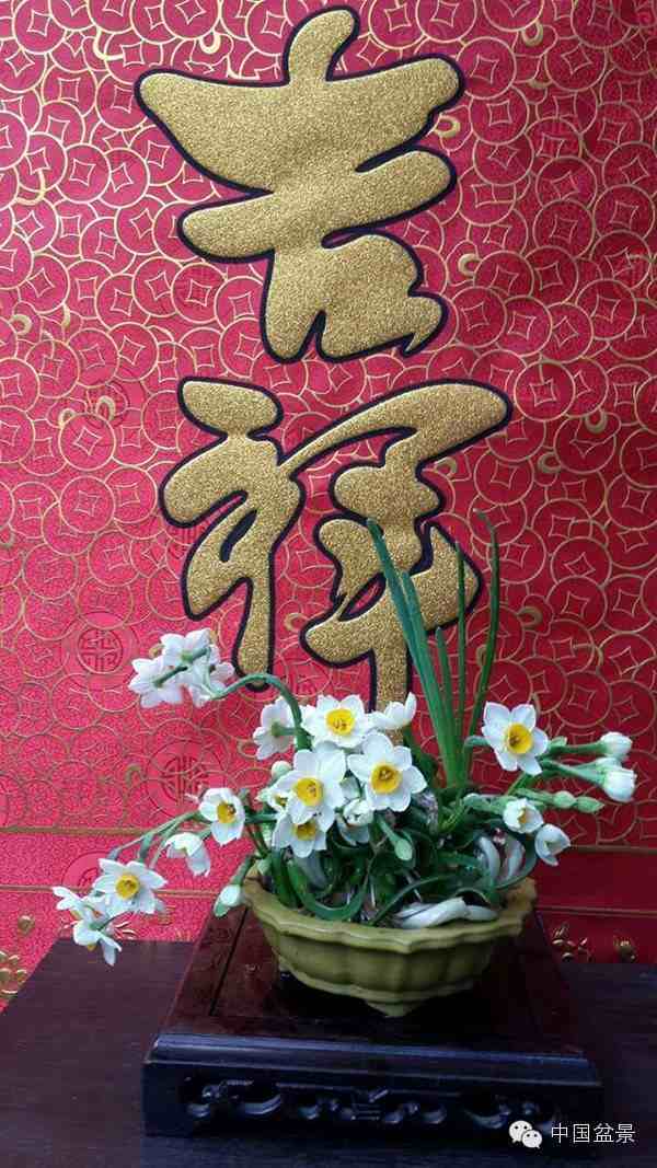 水仙花语|水仙花的花语与传说故事
