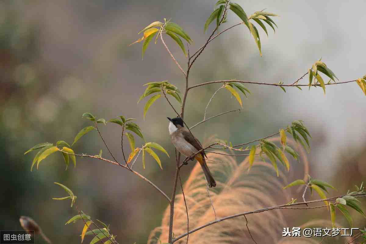 非常经典的句子|100句经典的人生哲理语录