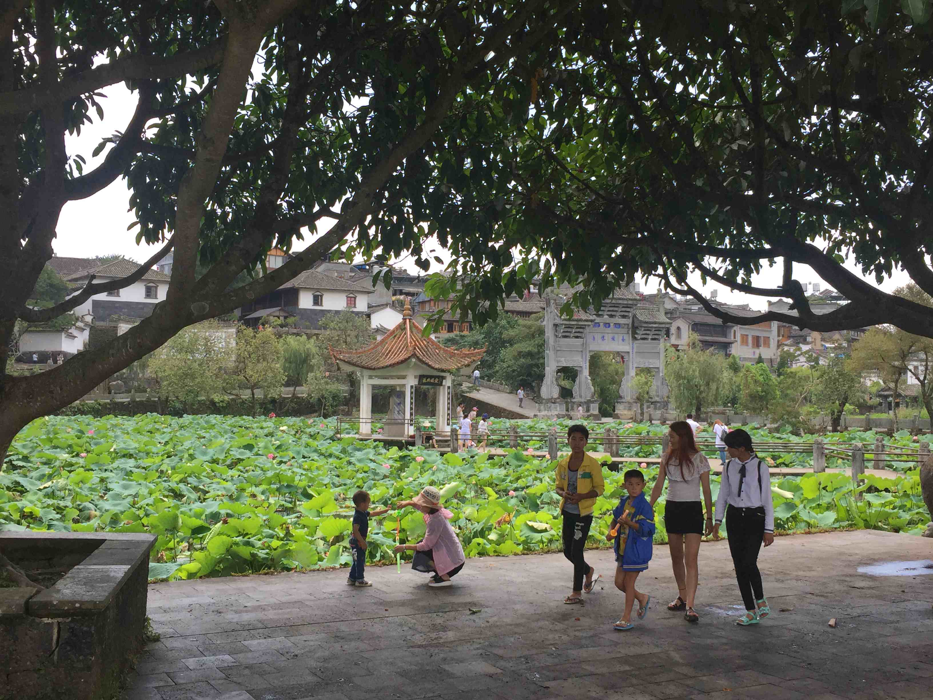 云南著名旅游景点|云南旅游必须去的六个地方