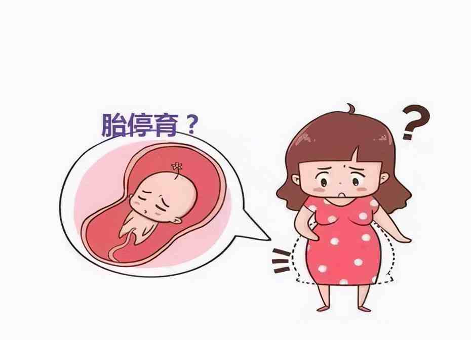 胎停有什么症状|胎停育的7大征兆