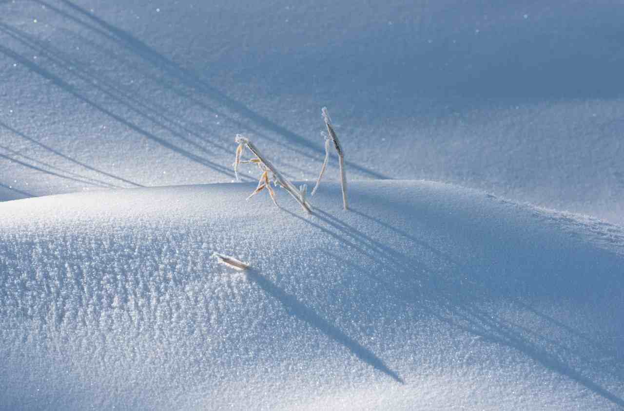 雪的诗词|16首经典咏雪诗词