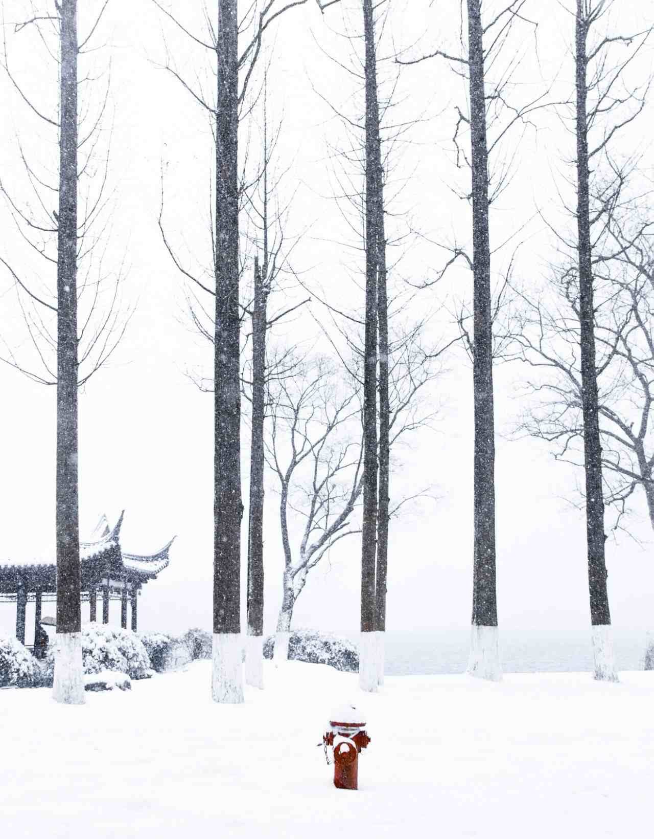 雪的诗词|16首经典咏雪诗词