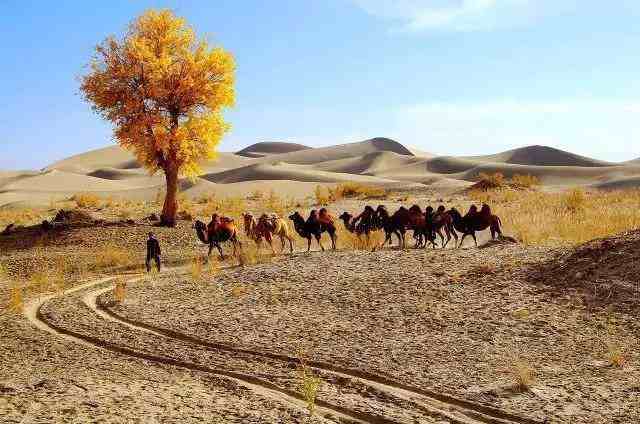 新疆十大旅游景点